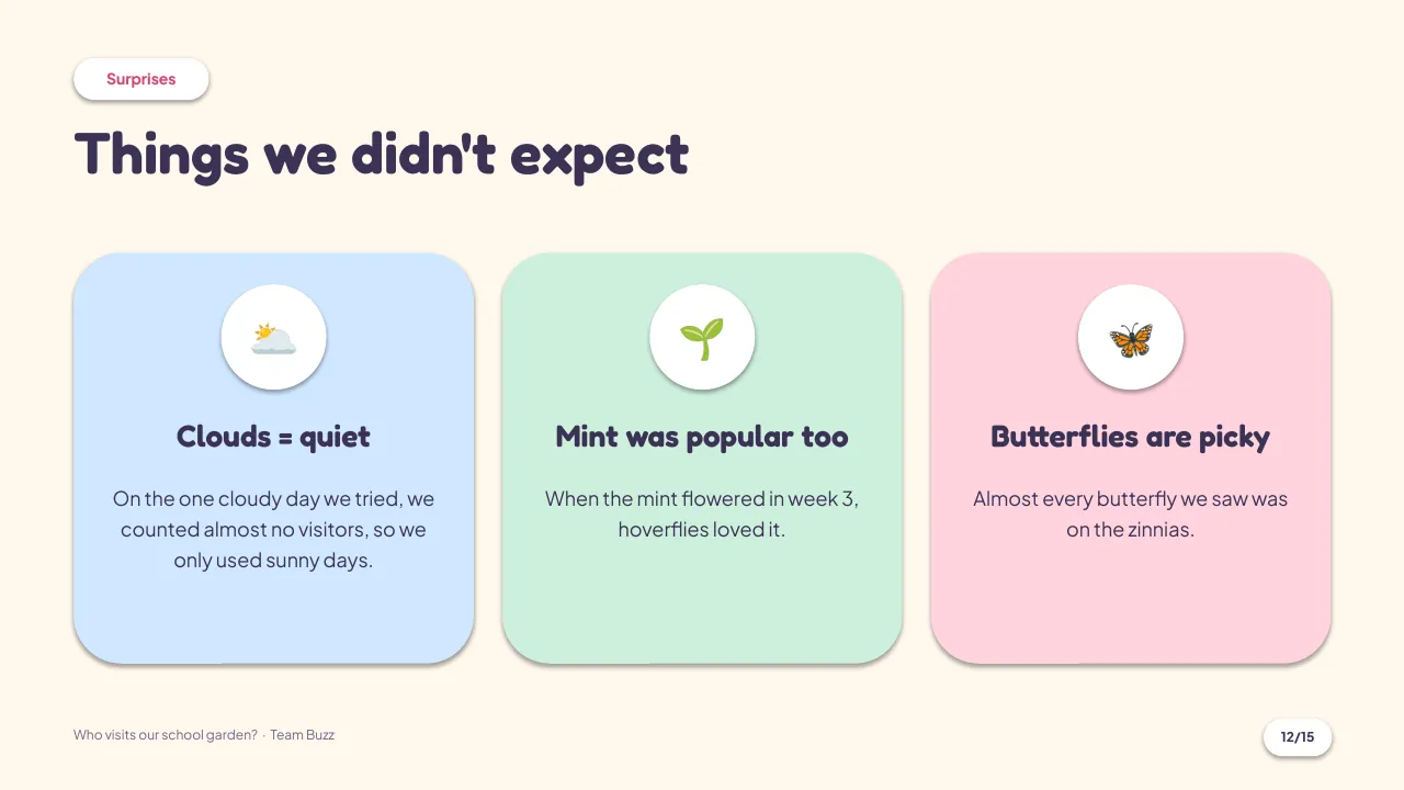 Slide 12: Surprises: what you didn't expect