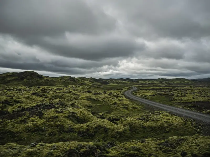 A gravel road curving through a moss-covered lava field under heavy clouds