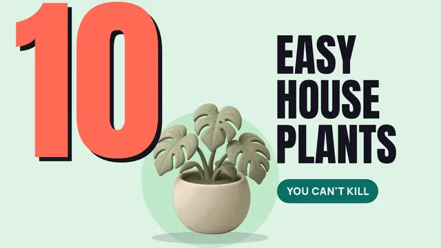 A giant coral number 10 with a clay monstera plant and the words Easy houseplants